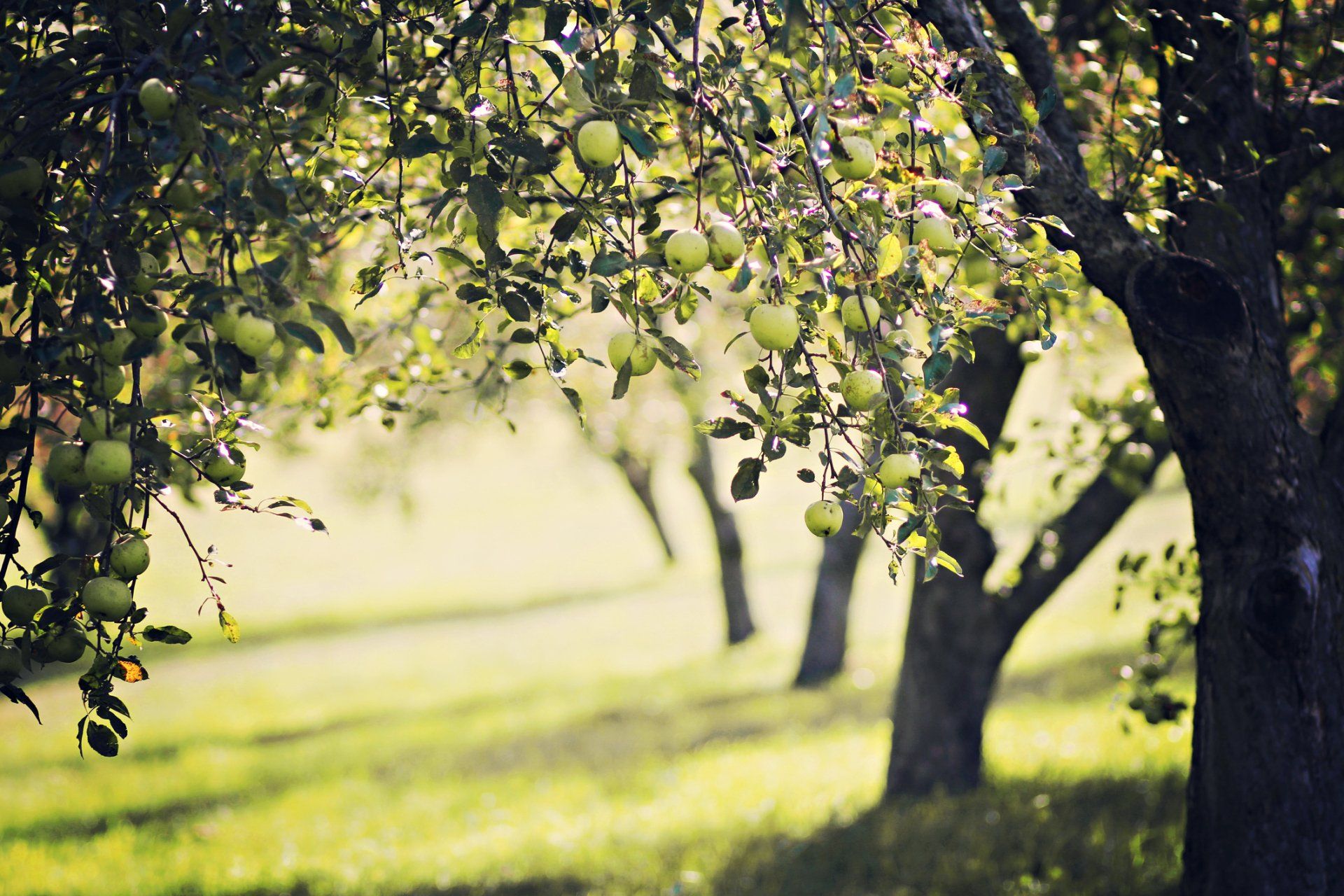 Agricultural Work — Waterloo, IA — Roto- Rooter Sewer & Drain Cleaning