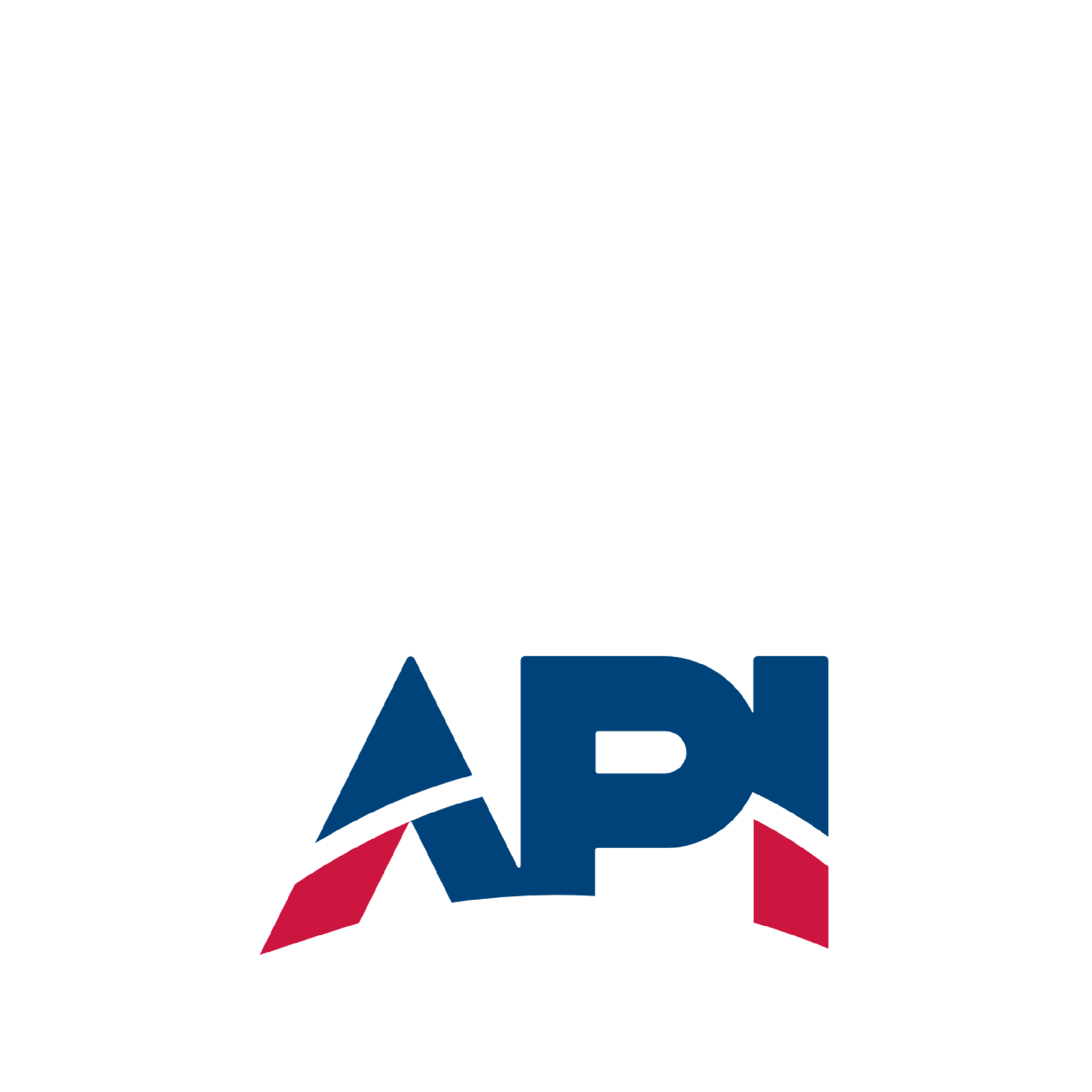 API logo: blue and red letters on white background.