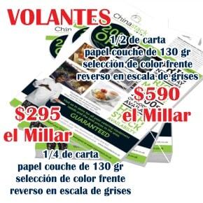 EXPOCOLOR 
