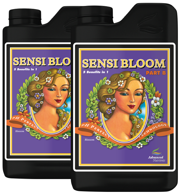 pH Perfect Sensi Bloom Part B 1L
