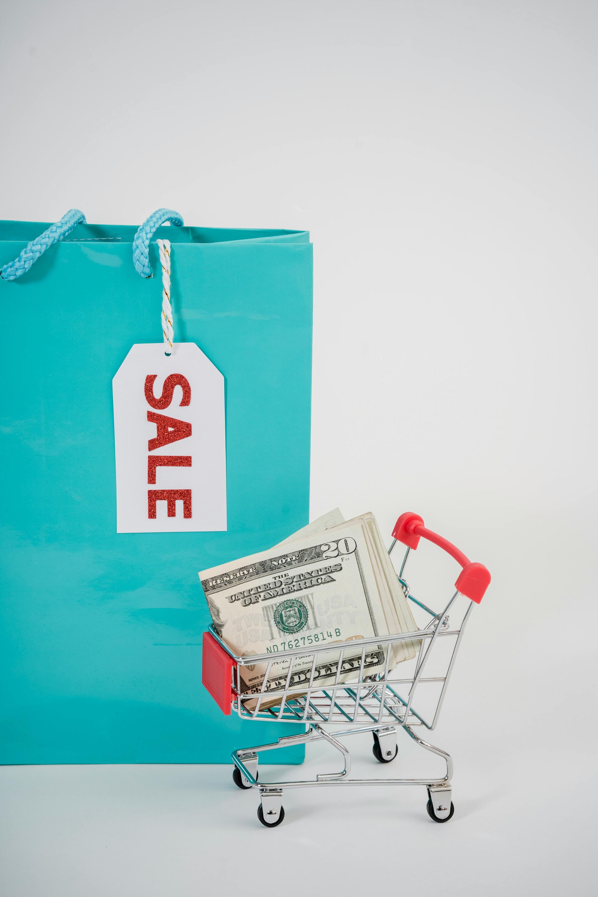 Turquoise sale gift bag with a shopping cart holding dollar bills and red tags