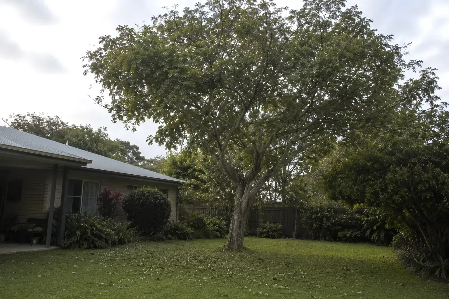 Before image of a suburban backyard in Mackay in need of a tidy-up.