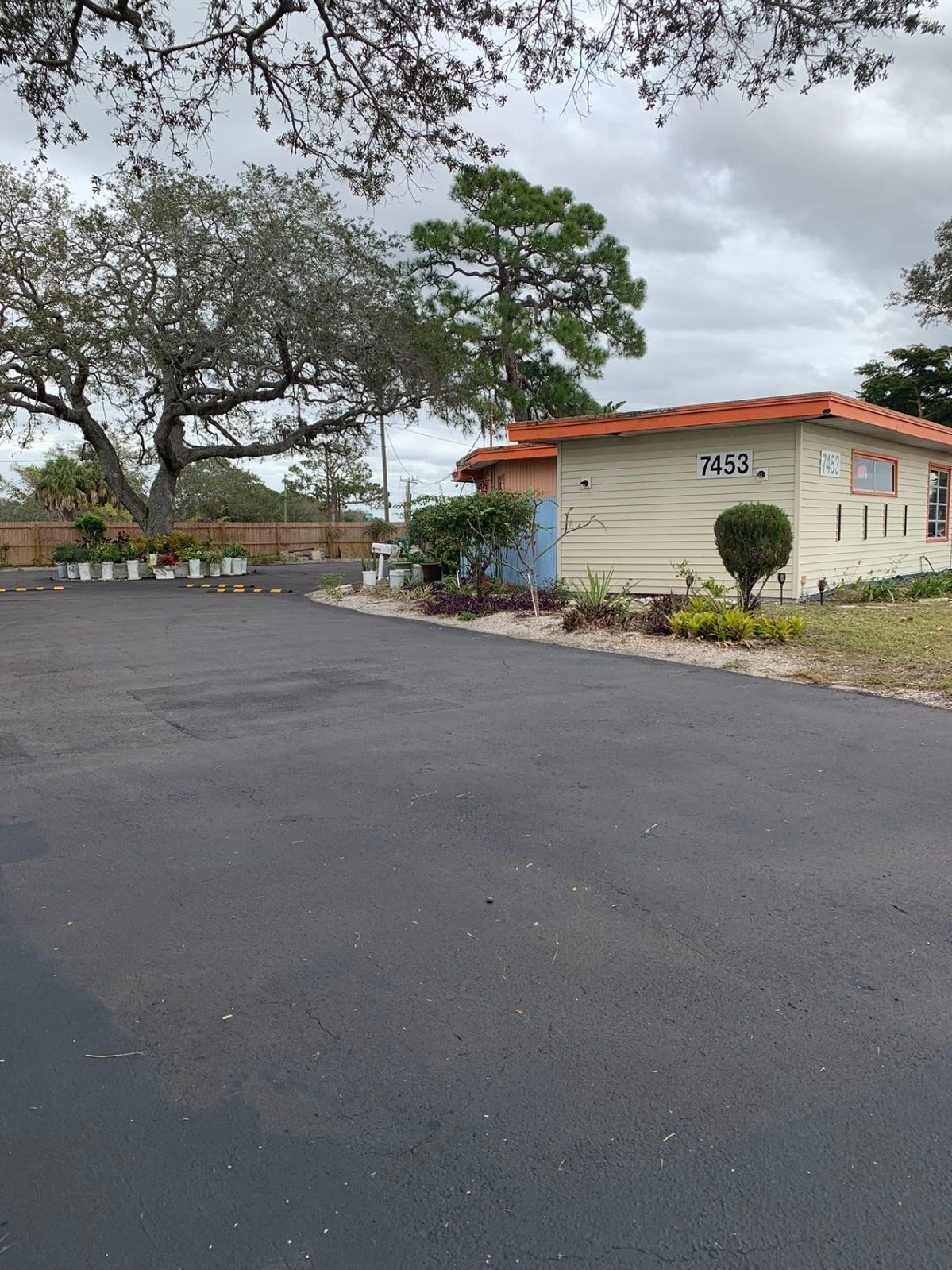 A house with a large tree in front of it