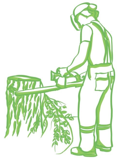 Man Cutting a Tree Logo — Commerce, GA — John Waldrop & Son Tree Service