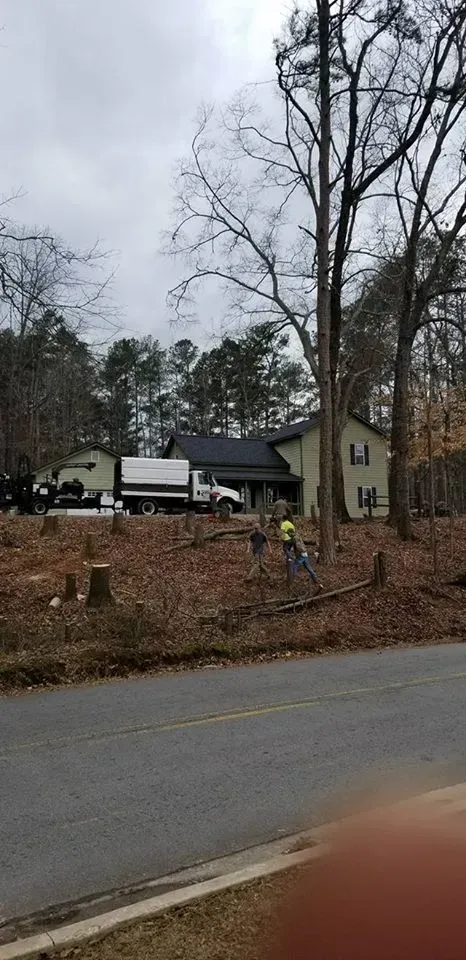 Tree Removal Process — Commerce, GA — John Waldrop & Son Tree Service