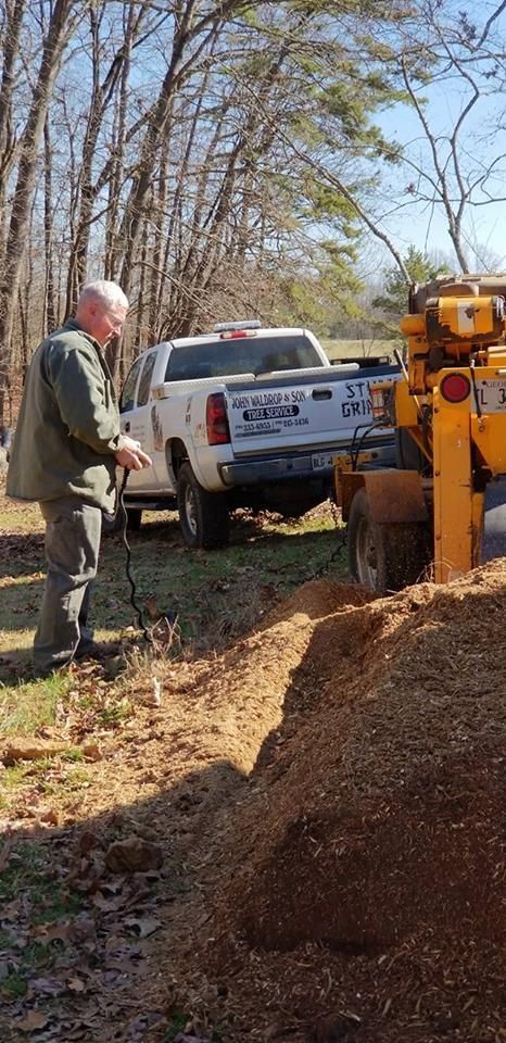 Man Checking the Excavation Area — Commerce, GA — John Waldrop & Son Tree Service