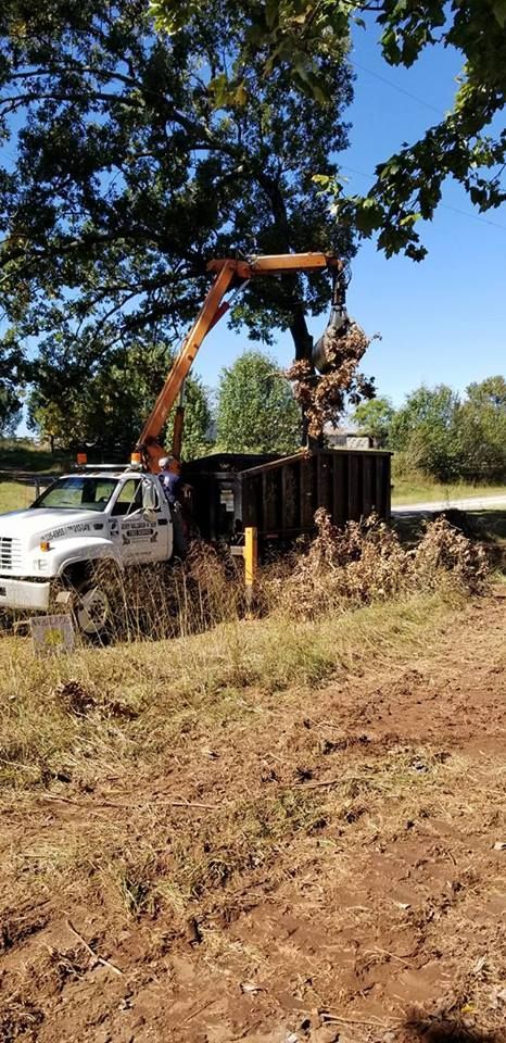 Tree Branches Removal Process — Commerce, GA — John Waldrop & Son Tree Service