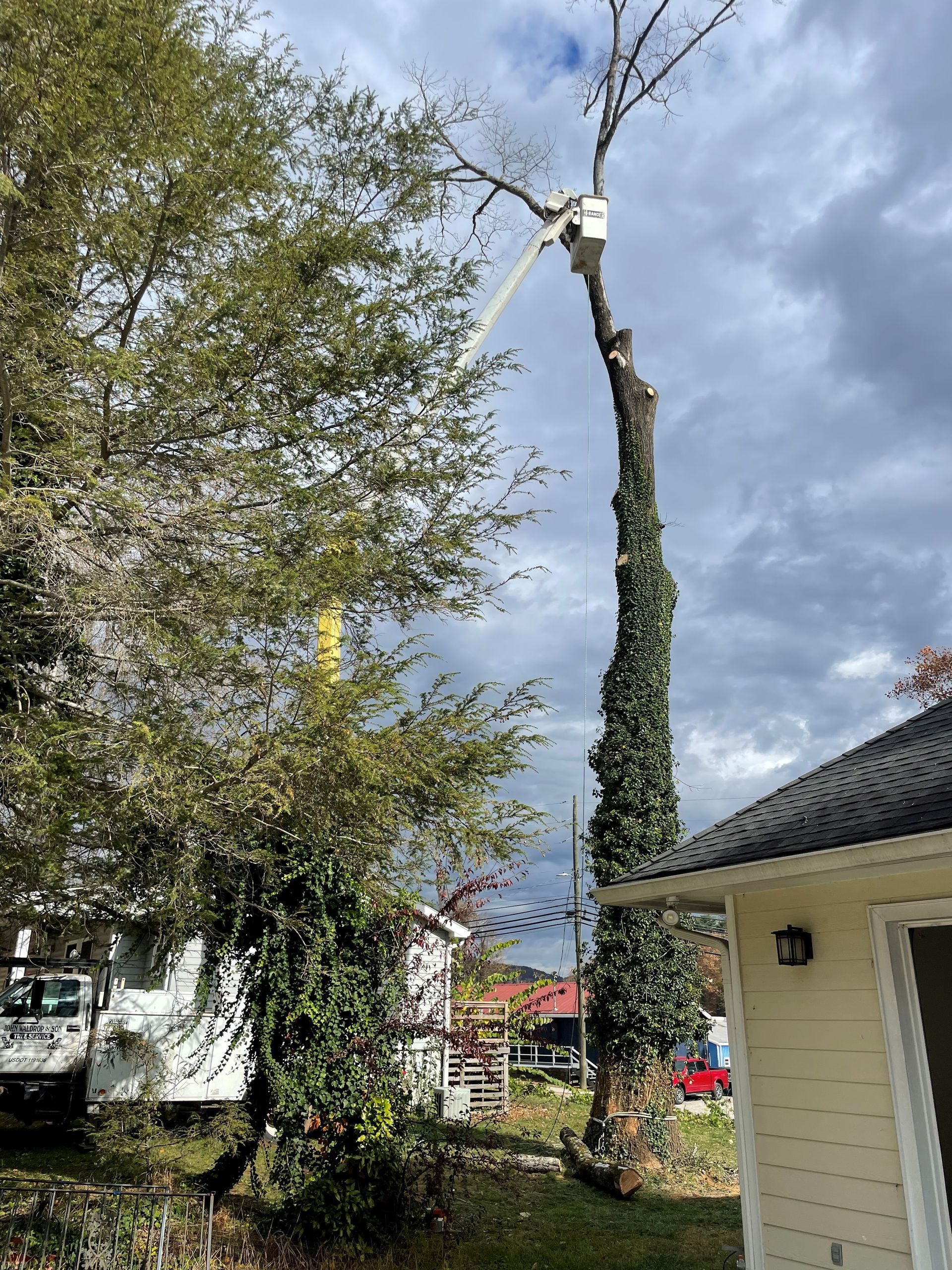 Tree being trimmed by a worker in a cherry picker, next to a house under cloudy skies.