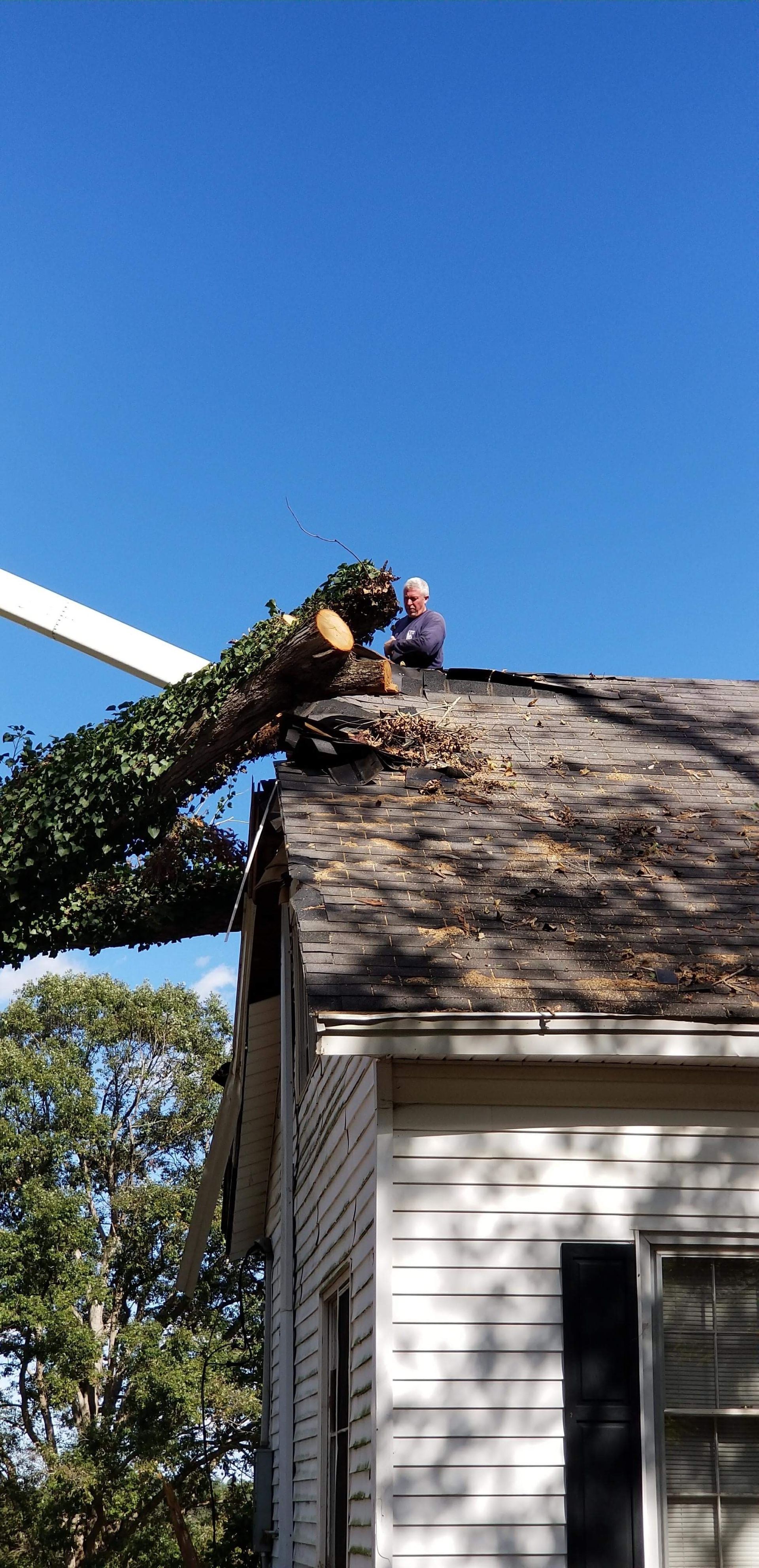 A person on a roof cutting a tree limb with a chainsaw.