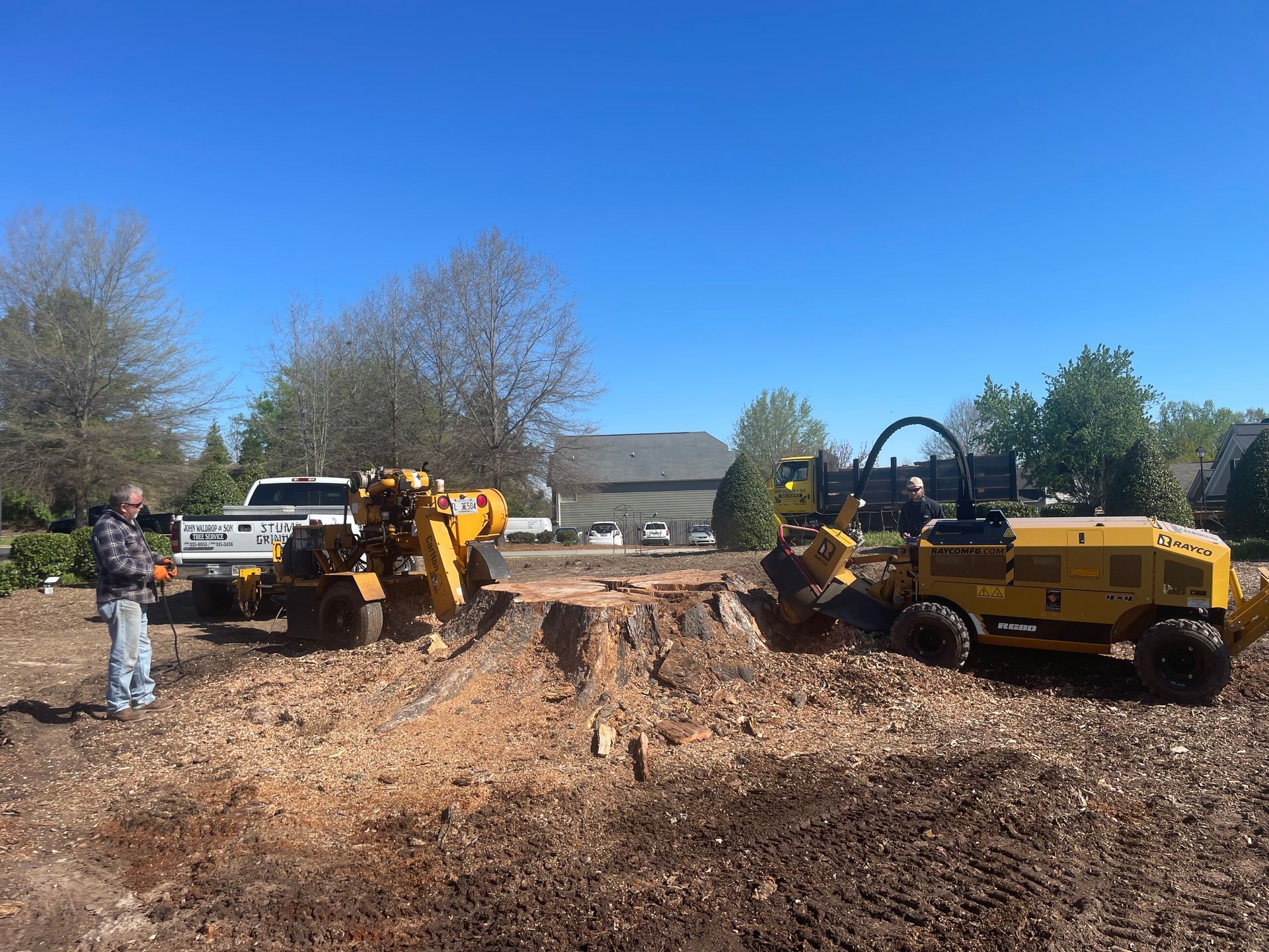 Two yellow stump grinders grinding wood, a man operating them, and a truck, in a yard.