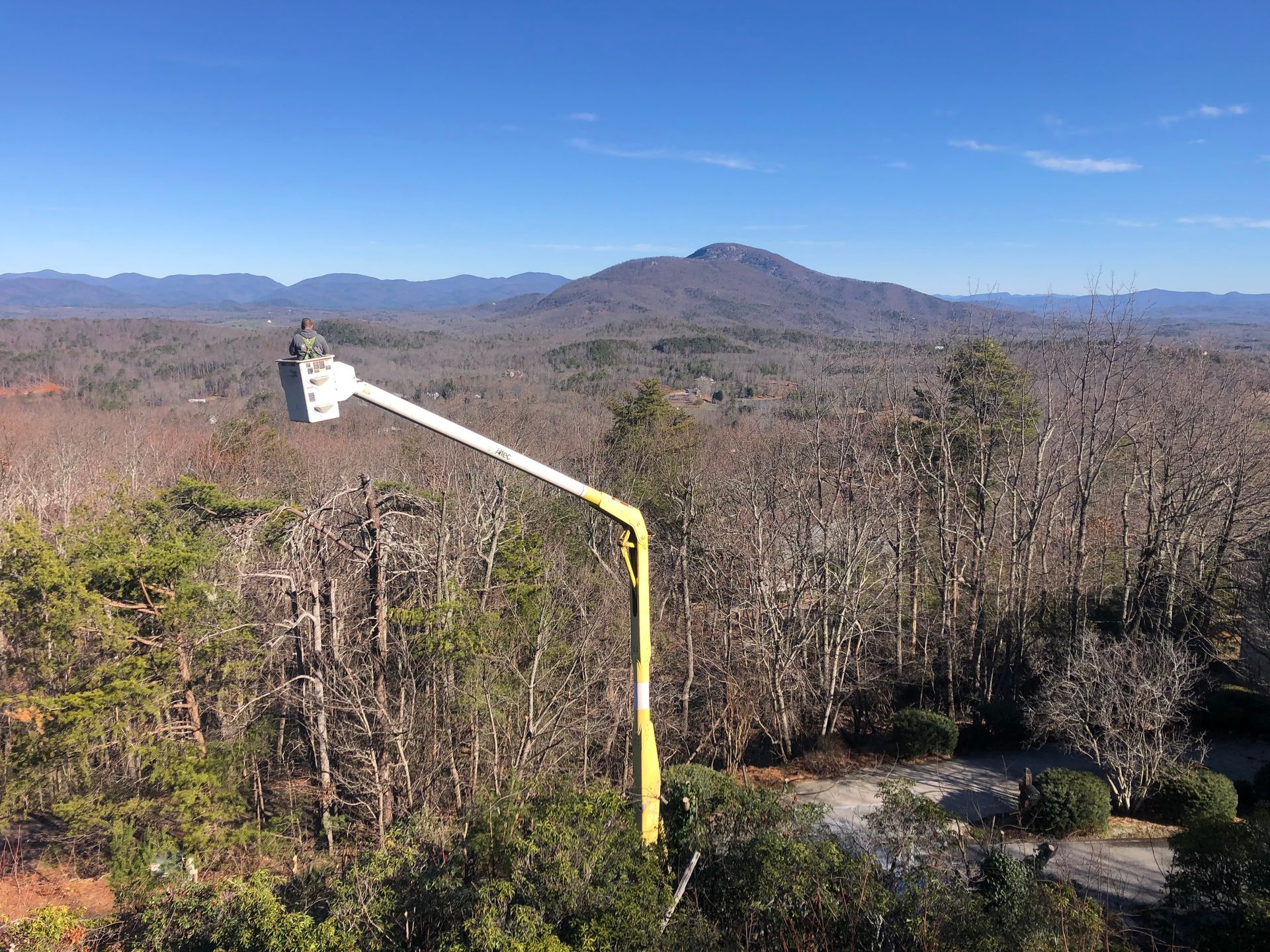Yellow lift extended above trees, view of mountain range and blue sky.