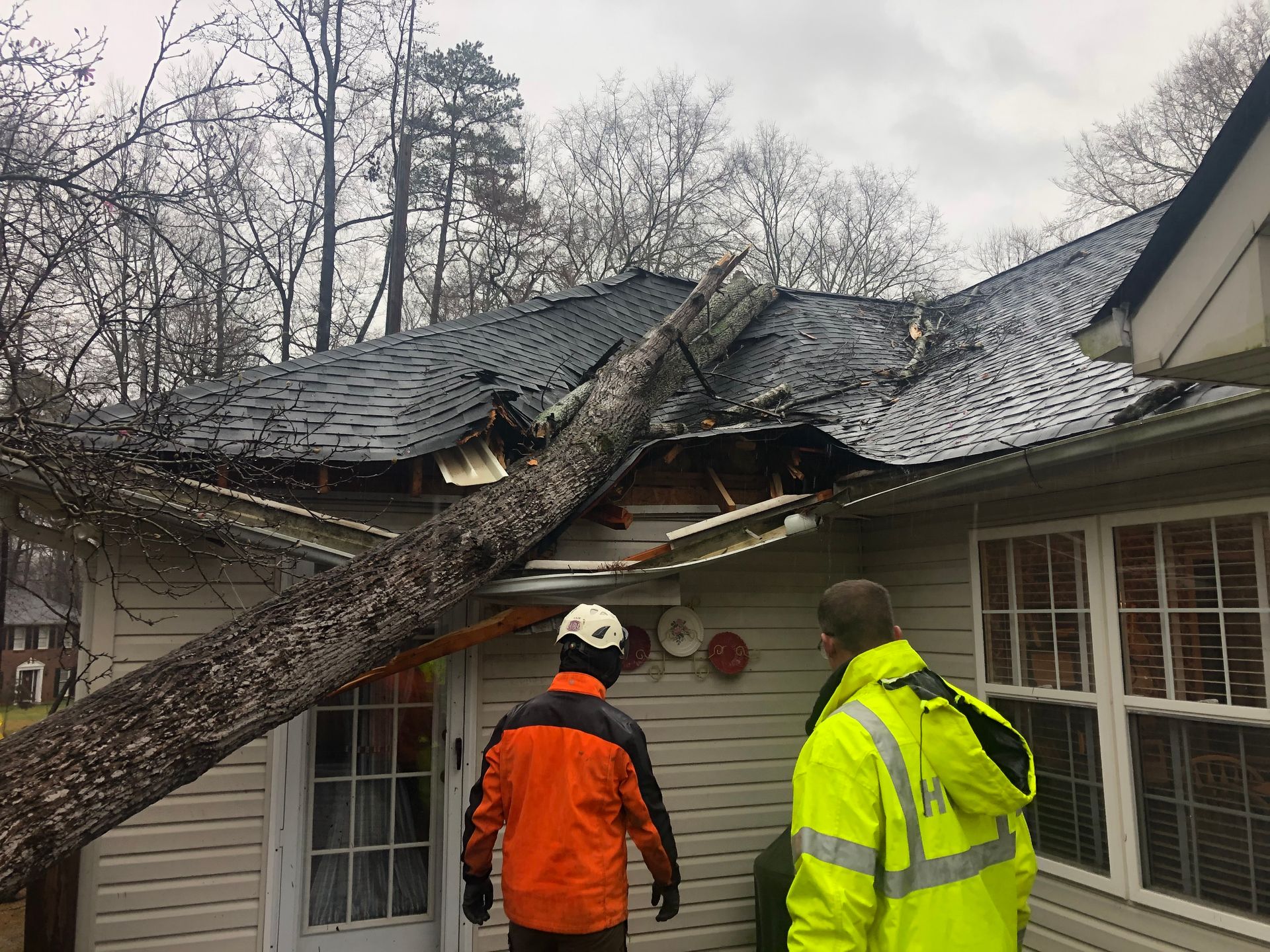 A fallen tree damages a house roof, two people in safety vests assess the damage.