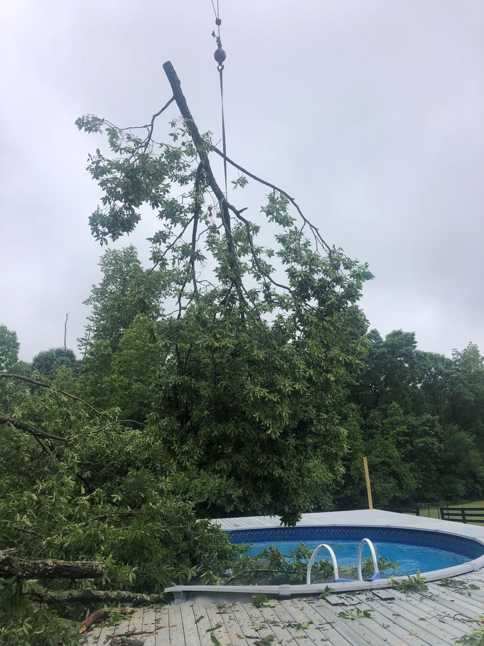 A crane lifting a large tree branch over a blue swimming pool on a cloudy day.