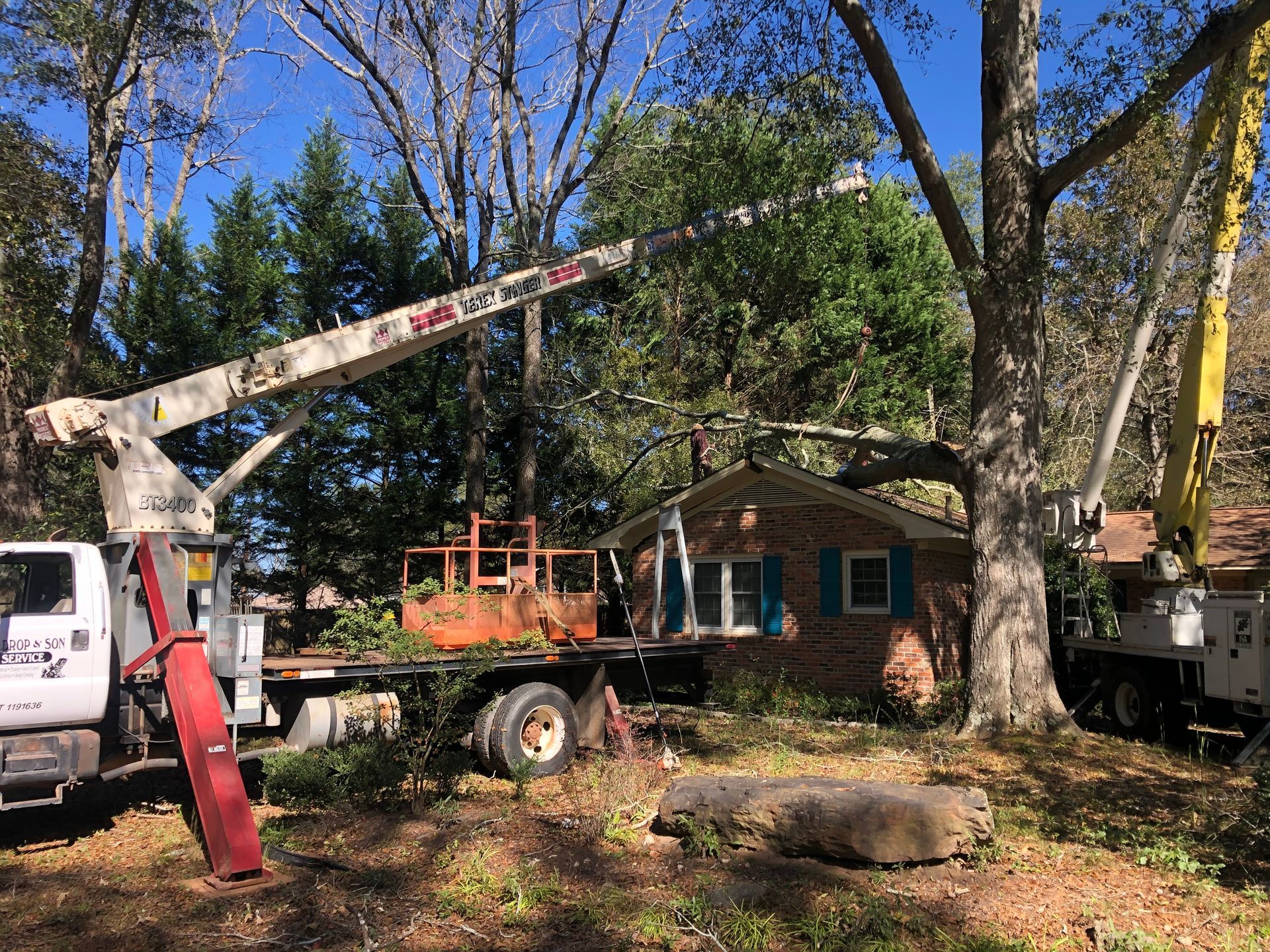 Tree removal in progress. Trucks with booms surround a house. Workers trim branches from a large tree on a sunny day.