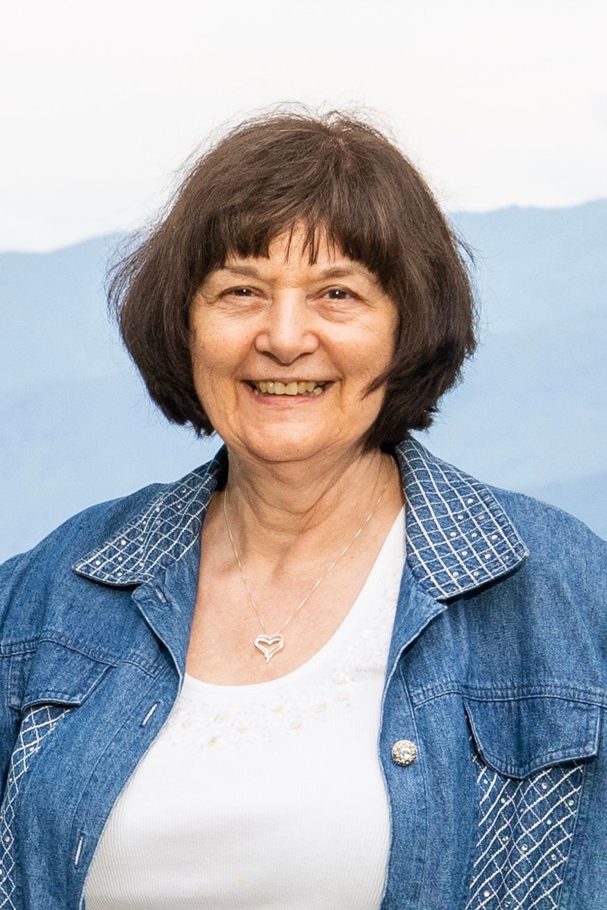 Janice King — Fort Wayne, IN — Cornerstone Vision