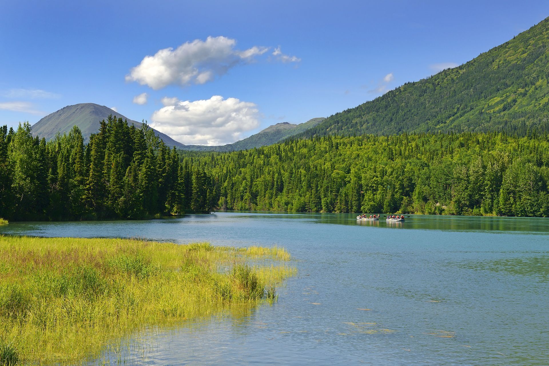 A scenic view of a bright blue river flowing past a lush, green pine forest with mountains in the background.