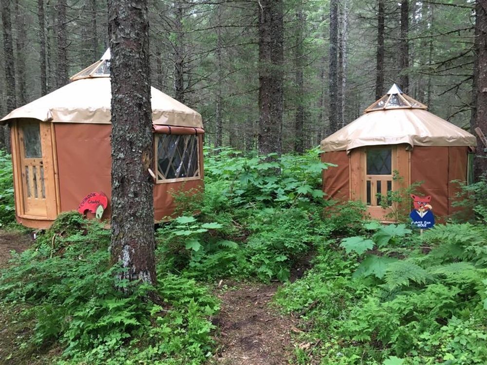 Two tan yurts in a green forest setting.