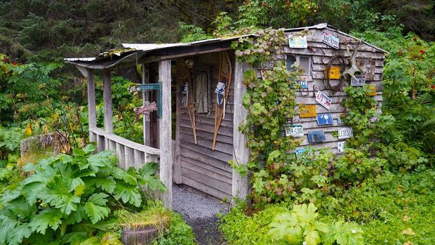 Rustic wooden shed covered in greenery; license plates adorn the wall.