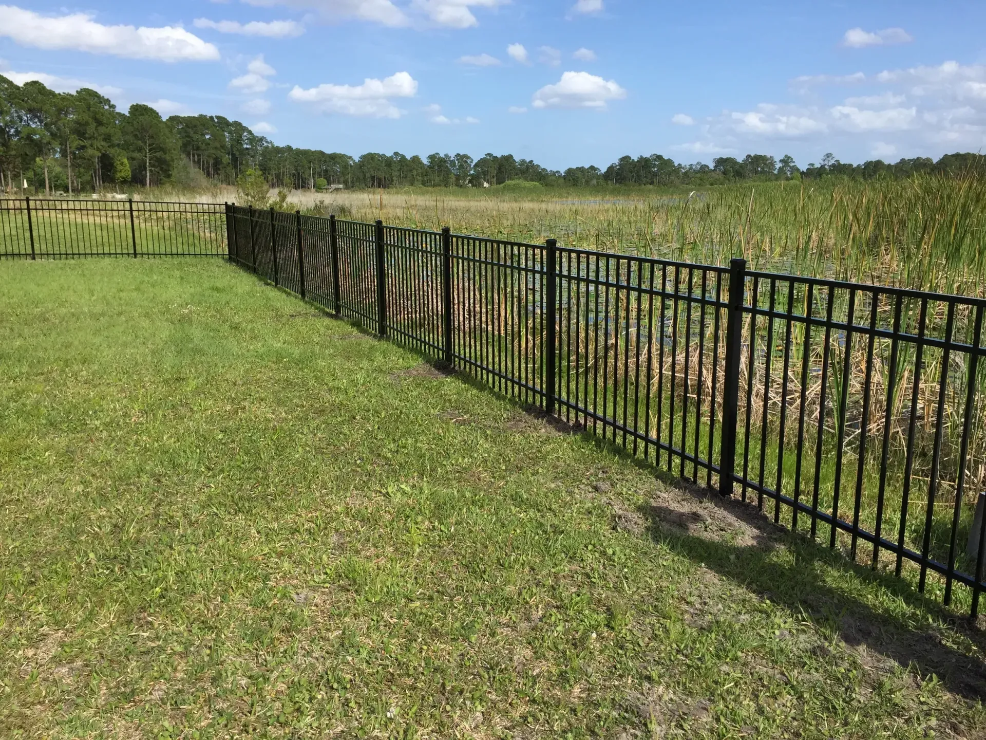 A black metal fence surrounds a grassy field.