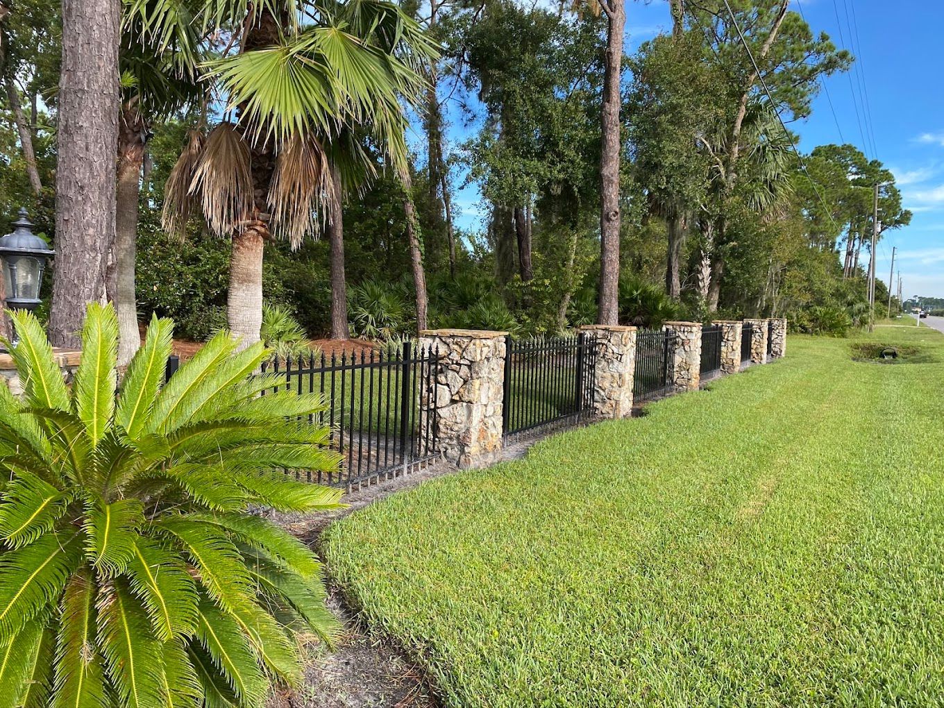 A fence surrounds a lush green field with palm trees in the background.