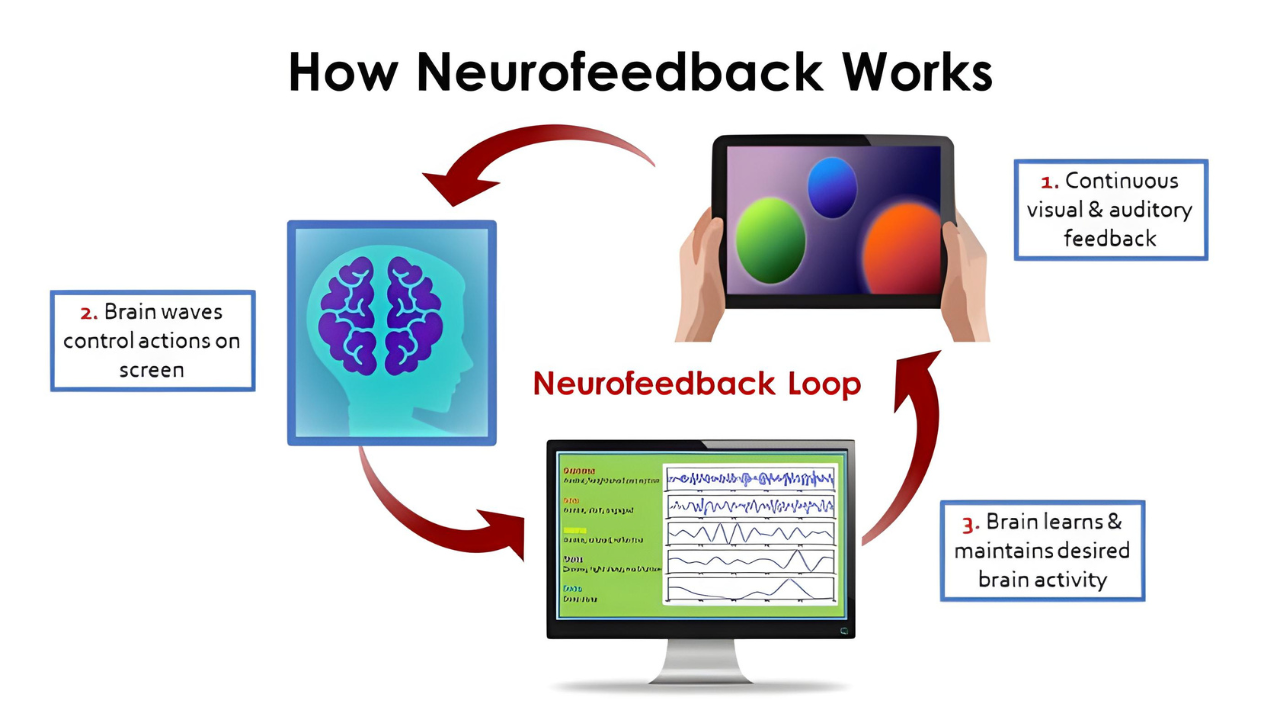 A diagram showing how the neurofeedback loop works