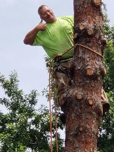 Man Climbing Tree — Pittsburgh, PA — Leitzell Tree Service LLC