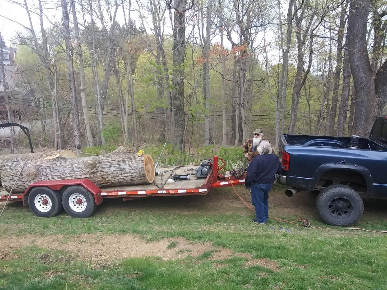 Logs on the Trailer — Pittsburgh, PA — Leitzell Tree Service LLC