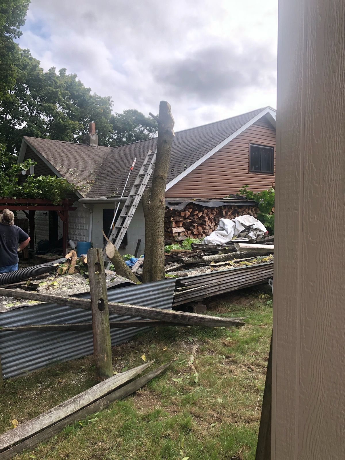 Tree Removal — Pittsburgh, PA — Leitzell Tree Service LLC