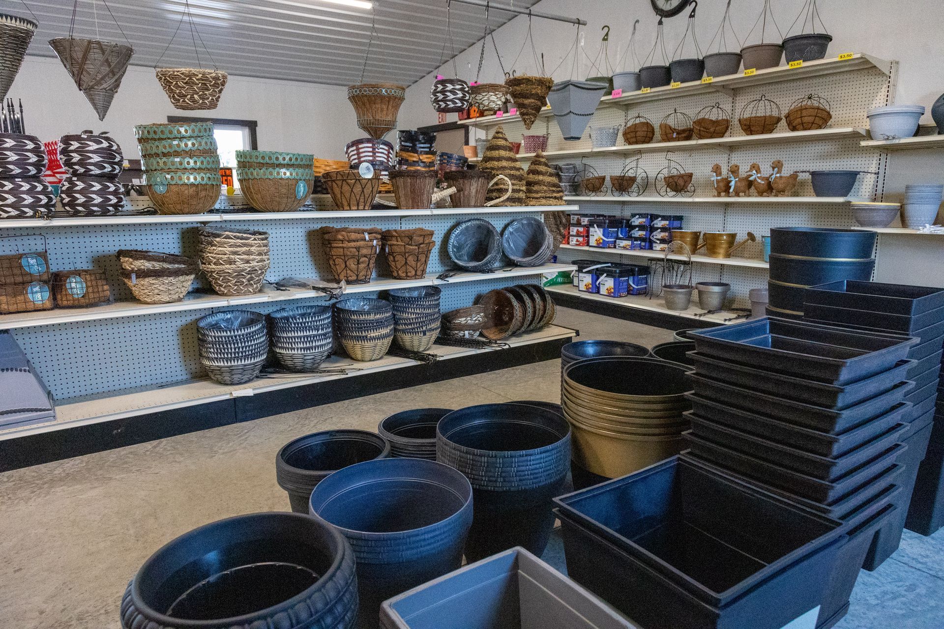 Gardening tools and plants on a wooden table: watering can, gloves, clippers, potted cactus, and herbs, with a garden setting in the background.