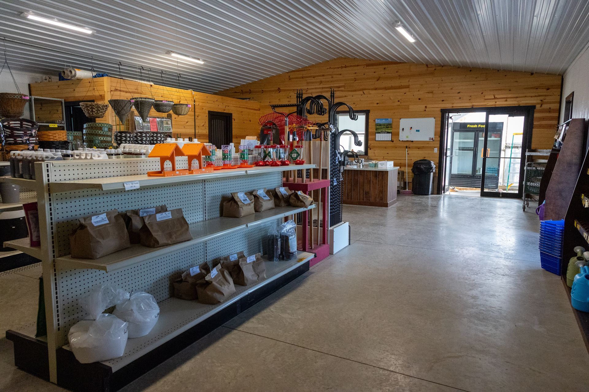 Hands holding a potted plant with white flowers, surrounded by colorful zinnias in a flower bed.