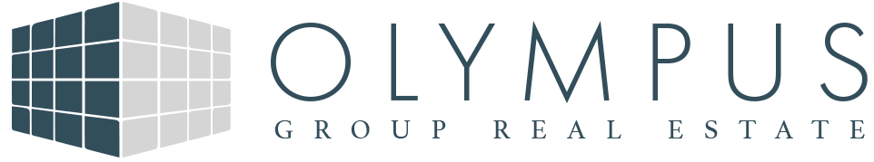 olympus group logo