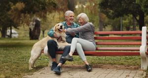 Two people on a red park bench pet a large dog in a leafy park