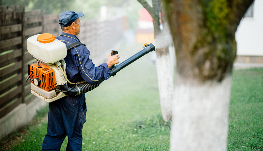 Man Spraying Fertilizer on the Tree | Egg Harbor TWP, NJ | Yoos Tree Service