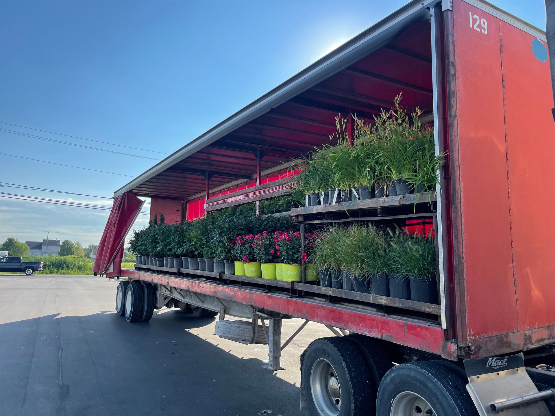 The back of a truck is filled with a pile of mulch and a shovel.