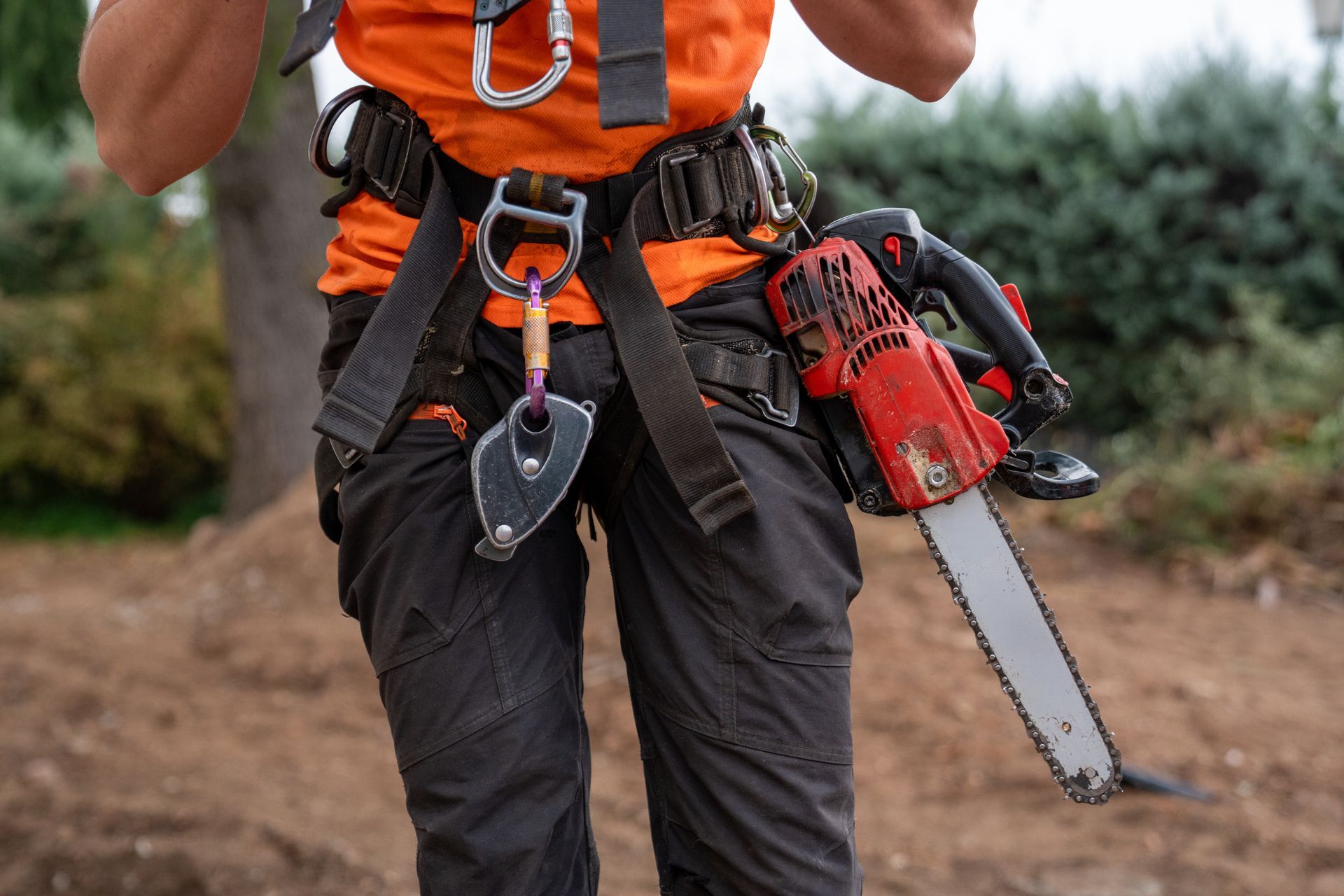 Arborist wearing safety harness and carrying a chainsaw attached to their belt.