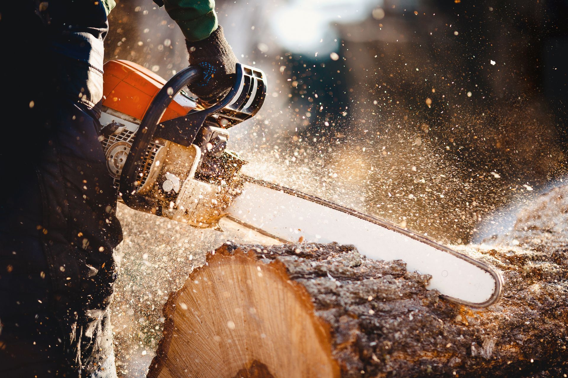A person using a chainsaw to cut a log, creating sawdust. A person using a chainsaw to cut a log, creating sawdust.