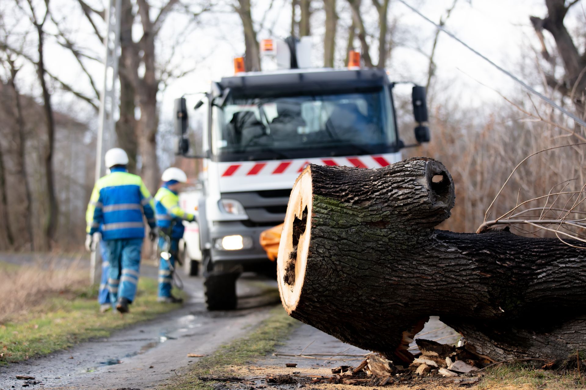 Fallen tree on road; utility truck and workers in reflective vests removing it.