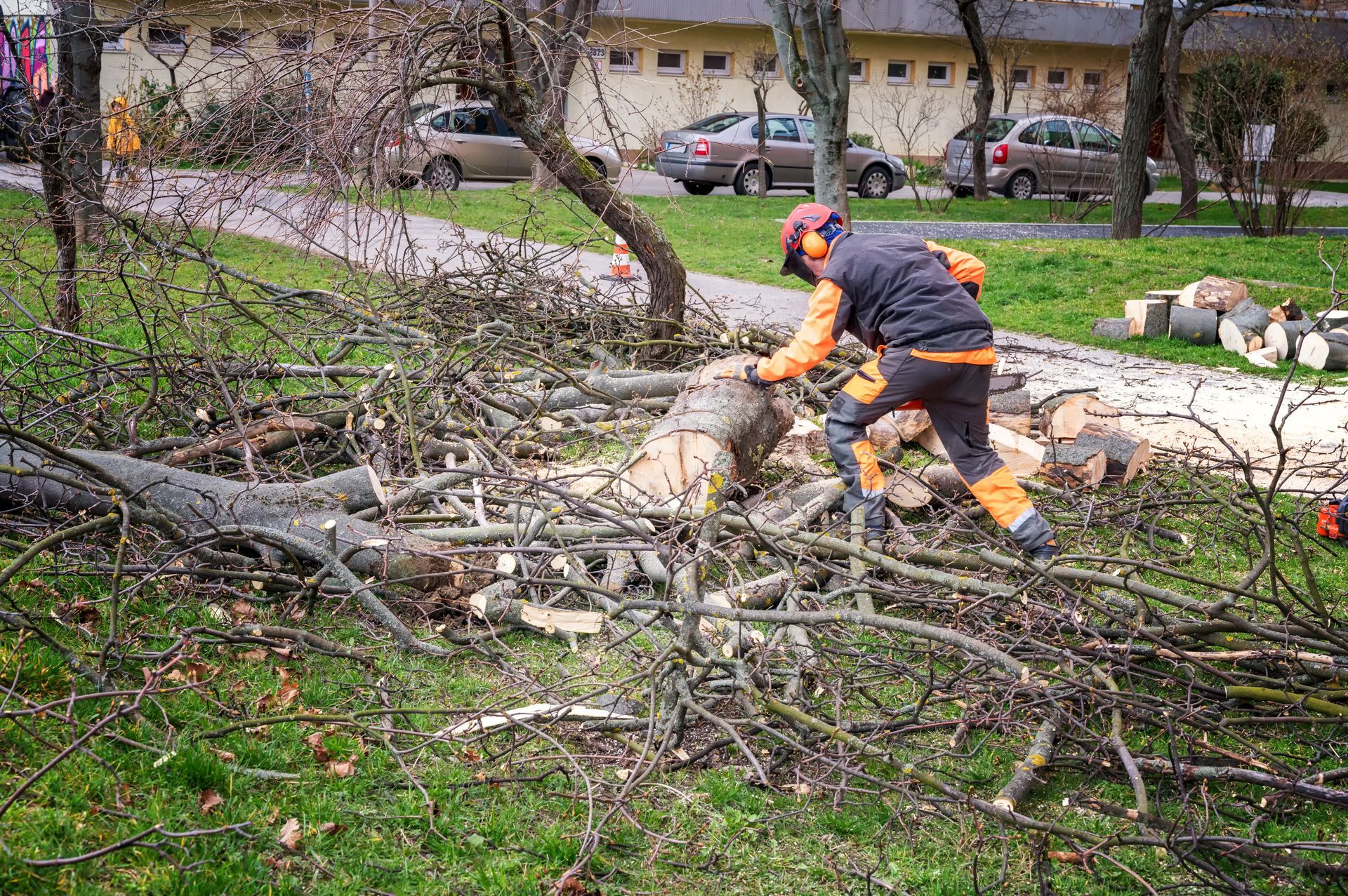 Arborist in safety gear cutting fallen tree branches on grass near parked cars. Arborist in safety gear cutting fallen tree branches on grass near parked cars.