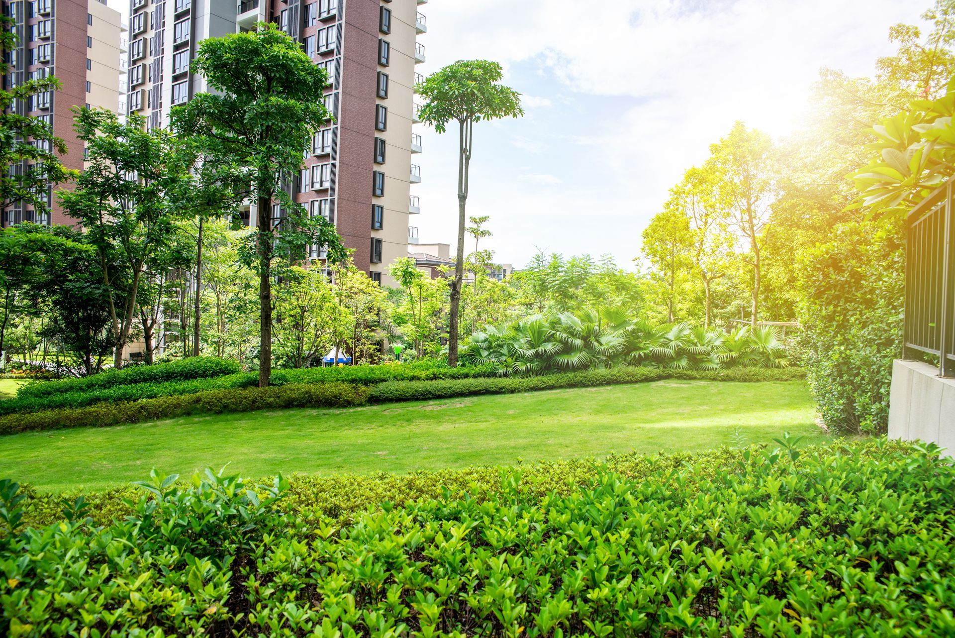 Green lawn and shrubbery in front of a modern apartment building, trees in the background, sunny.