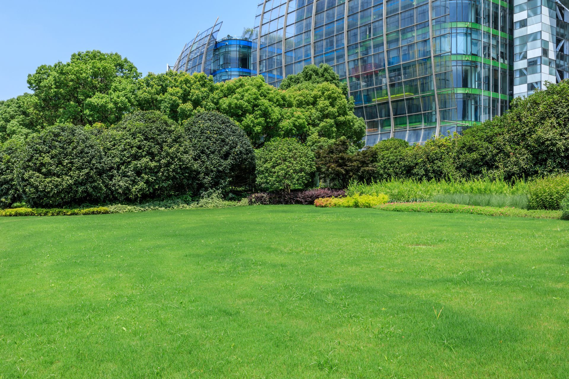 Green lawn with lush trees and a modern glass building in the background. Green lawn with lush trees and a modern glass building in the background.