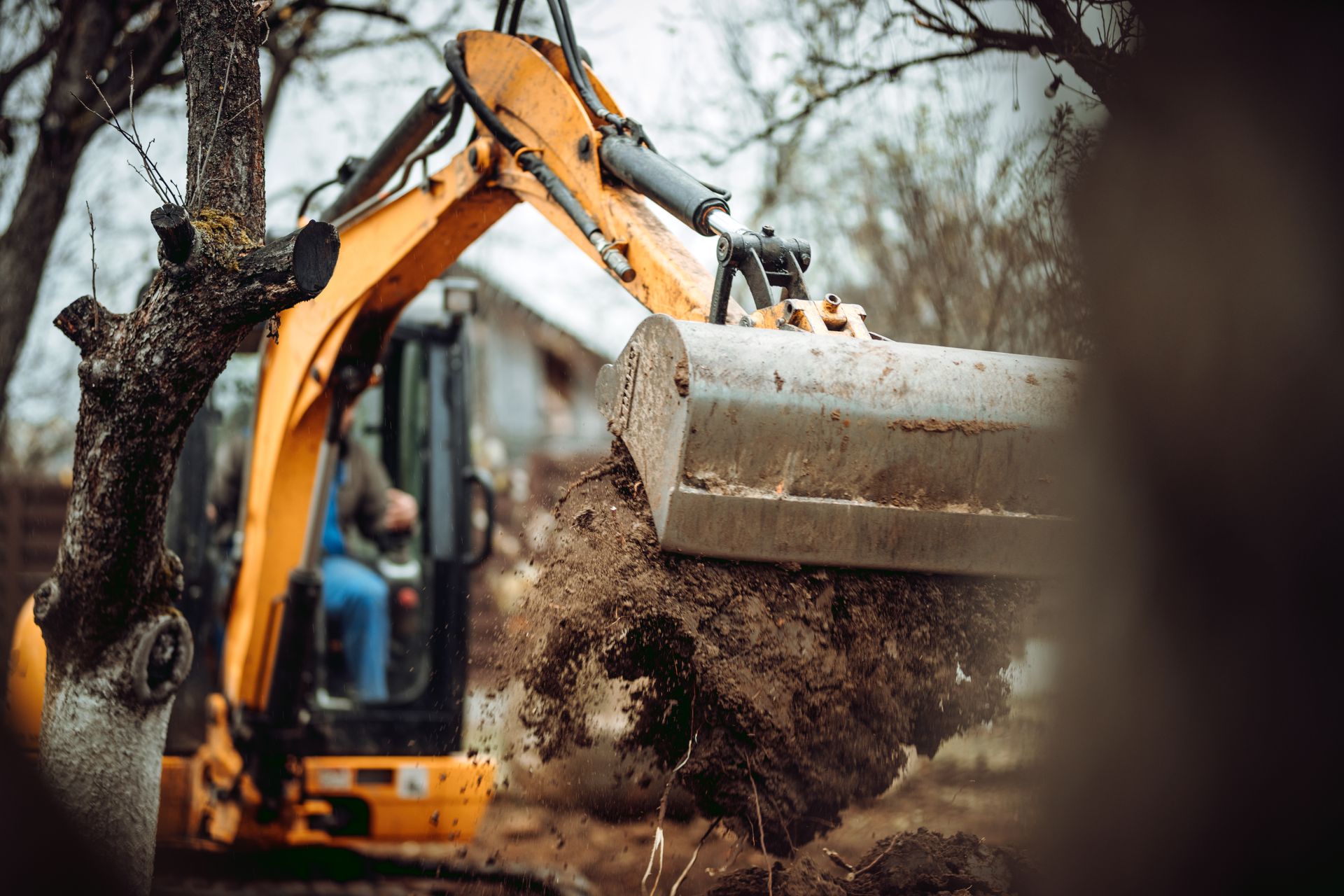 Yellow excavator digging in a yard near a tree, with dirt falling from its bucket.