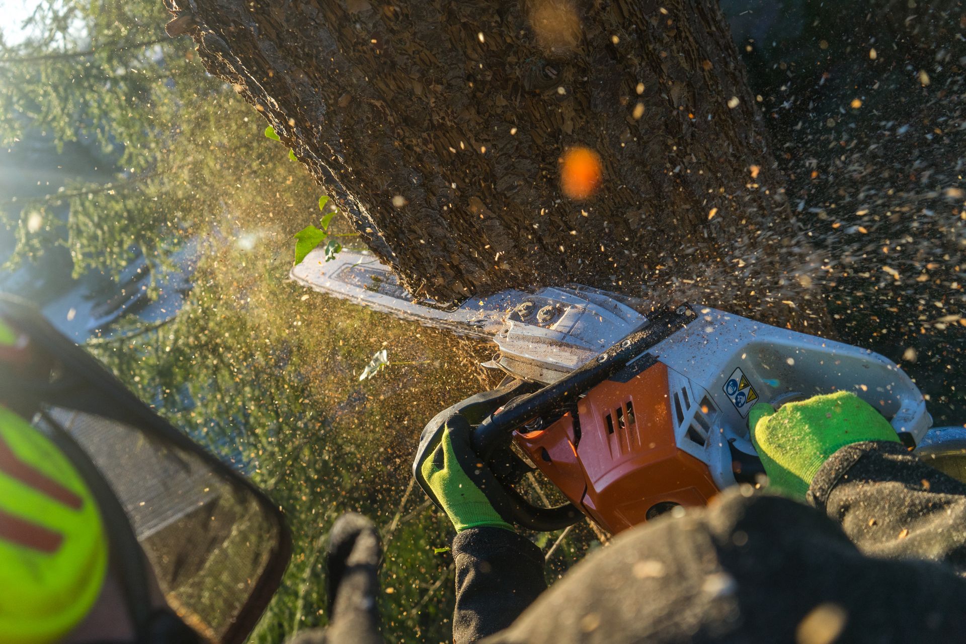 A person wearing safety gear uses a chainsaw to cut a tree. Sawdust and light burst out. A person wearing safety gear uses a chainsaw to cut a tree. Sawdust and light burst out.