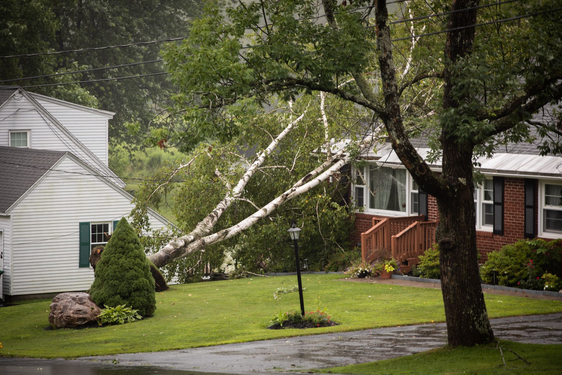 A tree has fallen onto a house during a storm; rain and wind are visible.