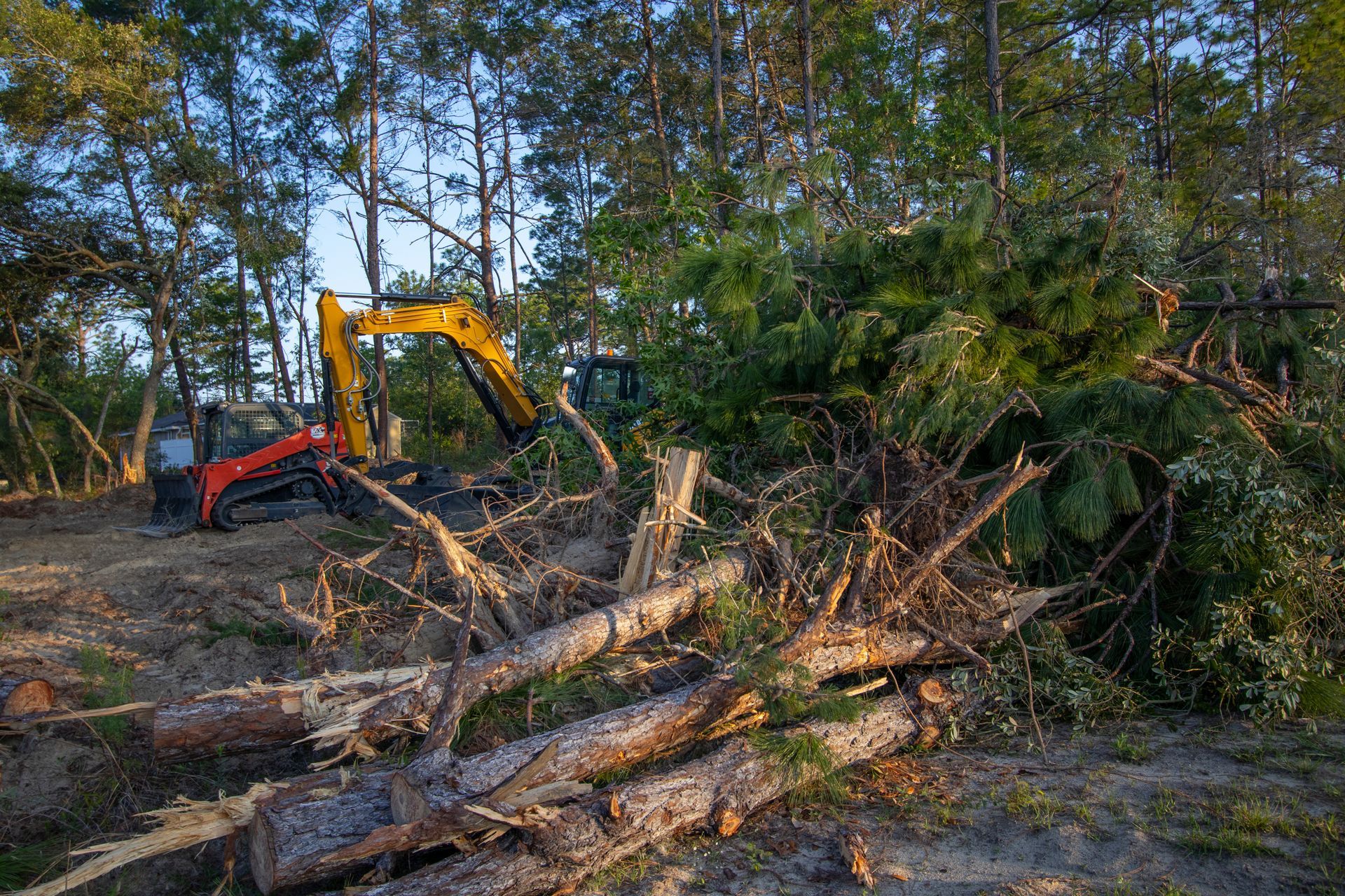 An excavator clearing trees in a wooded area; logs and branches lie on the ground.
