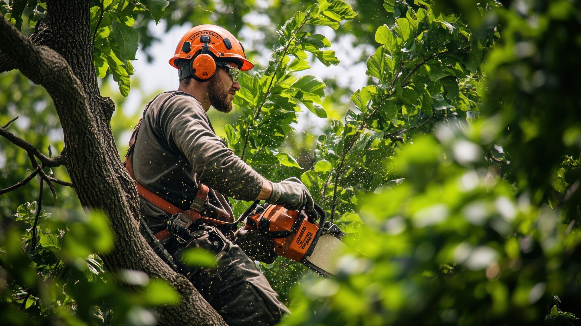 Arborist wearing safety gear using a chainsaw to cut branches in a tree.