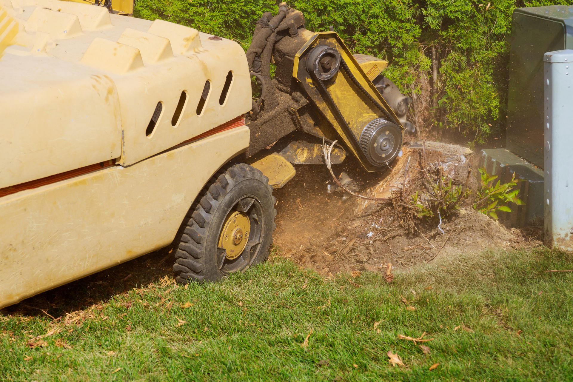Yellow skid-steer stump grinder removing tree stump and roots during residential land clearing work.