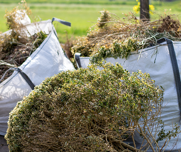 A bunch of bags filled with branches and leaves.