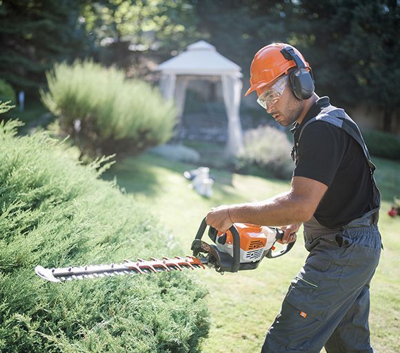 A man is cutting a bush with a hedge trimmer.