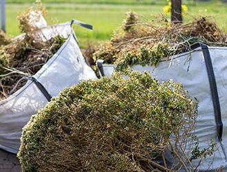 A pile of branches in a bag on the ground.