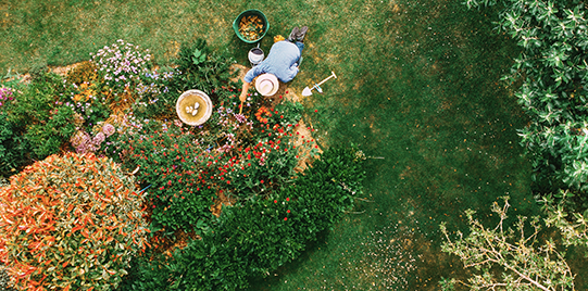 An aerial view of a person planting flowers in a garden.